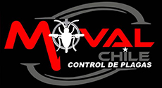 MOVAL CHILE